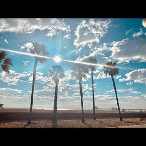 Meet your Posher, Miriam